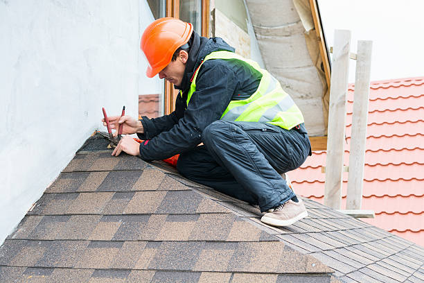 Best Roof Gutter Cleaning  in Niagara University, NY